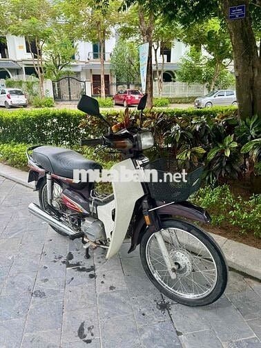 Cần Bán Dream Thái 1996