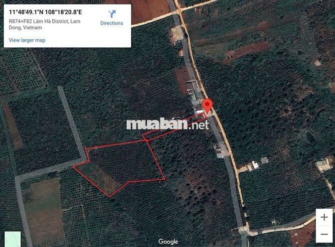 Bán Đất cà phê thu hoạch có thổ cư sổ hồng - 9000m2 - Gia Lâm, Lâm Hà
