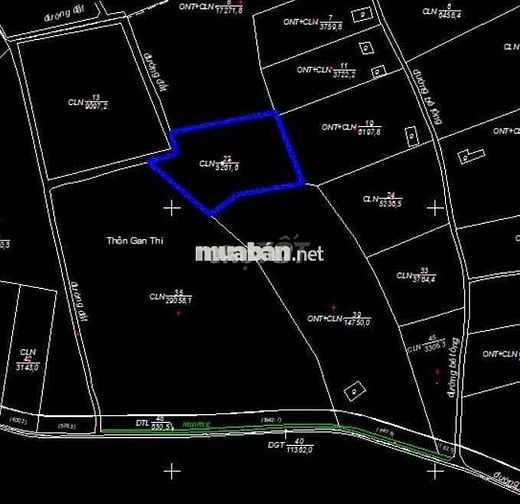 Bán Đất cà phê thu hoạch có thổ cư sổ hồng - 9000m2 - Gia Lâm, Lâm Hà