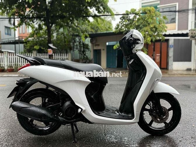 Janus 2017 B số 43 Góp trả trước 3tr5