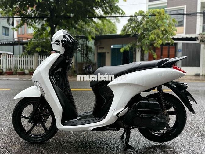 Janus 2017 B số 43 Góp trả trước 3tr5