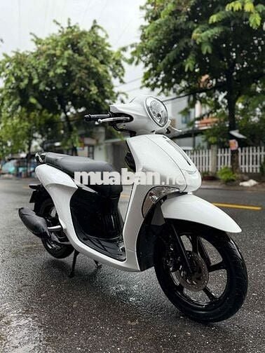 Janus 2017 B số 43 Góp trả trước 3tr5