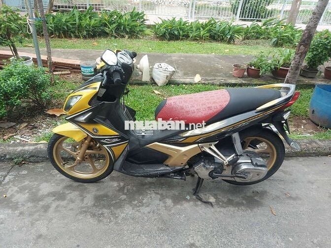 Novo 4 135 màu vàng  TP Q1