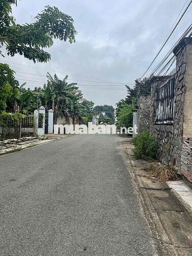 Đất nền kinh doanh buôn bán Quảng Tiến cũ 2 tỷ 950 gần chợ Quảng Biên.