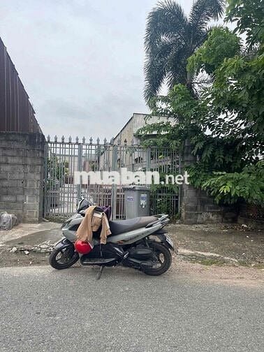 Đất nền kinh doanh buôn bán Quảng Tiến cũ 2 tỷ 950 gần chợ Quảng Biên.