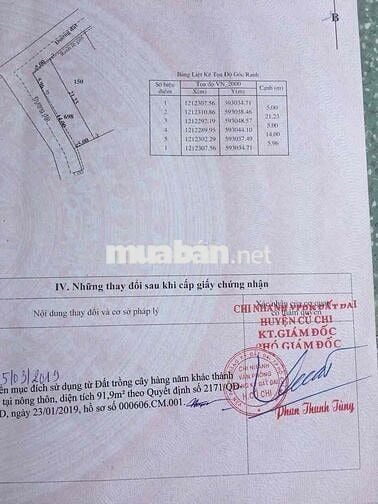 Đất thổ cư 101m2 gần chợ chiều Tân Thạnh Đông