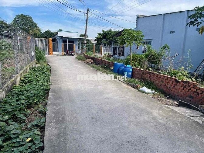 Đất thổ cư 101m2 gần chợ chiều Tân Thạnh Đông