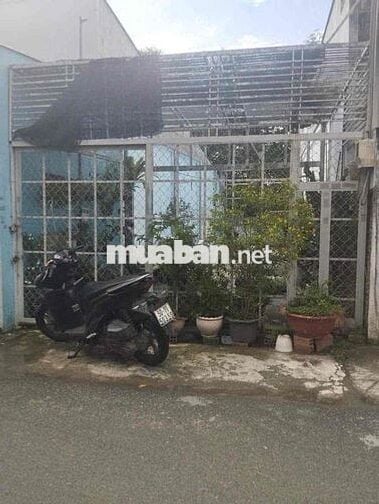 Bán Đất mặt tiền đường nhựa tân xuân 7, Tân Xuân hóc môn