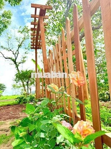 Làng Bình Yên Seperok tại Hoà Phú- To Buôn Mê
