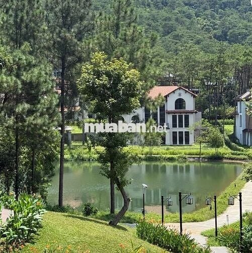 Biệt Thự View Suối Cạnh KS Intercontinental, Giá Cực Tốt , Ck 12%