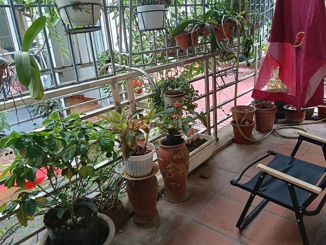 Chính chủ bán nhà Phố Thúy Lĩnh, HM, HN4