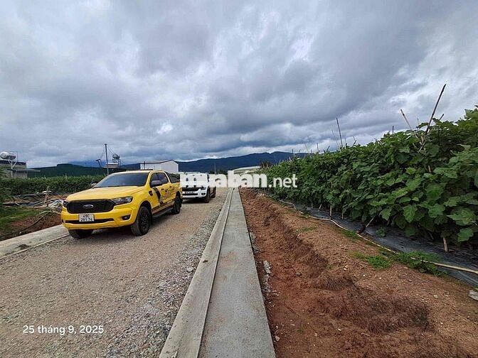 🌿 Cơ hội vàng sở hữu lô đất 447m² ngay thị trấn Thạnh Mỹ – trung tâm Đ
