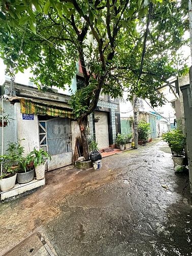 Bán nhà rẻ hẻm xe hơi (5,9x11,5) 499/6/14 Quang Trung p10 Gò Vấp