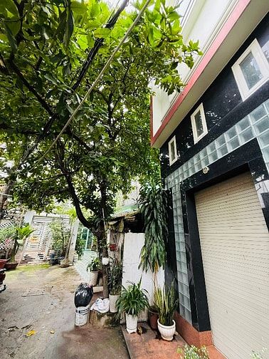 Bán nhà rẻ hẻm xe hơi (5,9x11,5) 499/6/14 Quang Trung p10 Gò Vấp