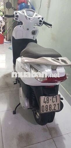 Lead 125