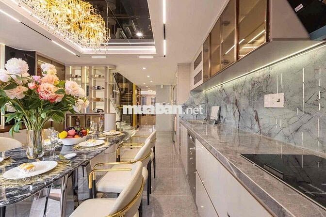Nhà VIP : Gara - Thang máy - NT cao cấp ... Giá 13 tỷ 5..