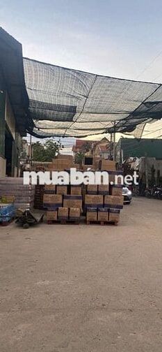 ĐẤT THÔN BẦU, KIM CHUNG, ĐƯỜNG 13M, VỈA HÈ THOÁNG RỘNG