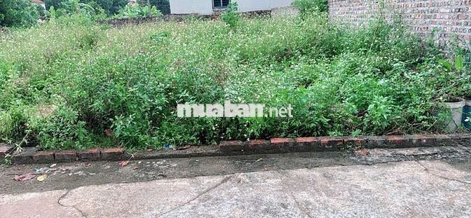 💥💥BÁN ĐẤT FULL THỔ CƯ - HIỀN NINH – SÓC SƠN💥💥 💥💥BÁN ĐẤT FULL THỔ CƯ - HIỀN NINH – SÓC SƠN💥💥