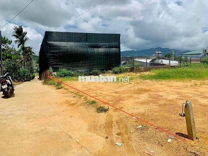Chủ ra bán lô đất 1300m2 giá ngộp 590tr