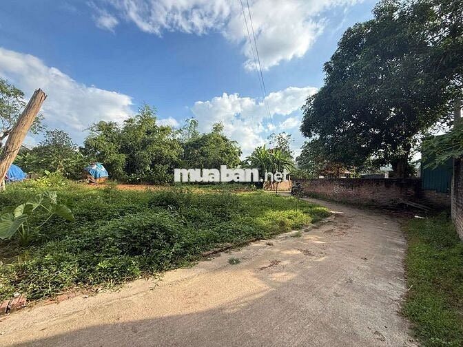 1. 6x tỷ Lô đất Thắng Trí Gần Nội Bài 2 mặt tiền full thổ cư hàng Hiếm