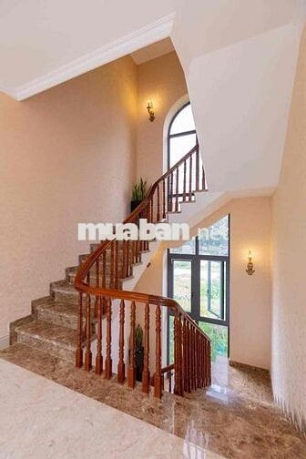 Cho Thuê  Biệt Thự DT 10x20 1Trệt 2Lầu 5Pn 5Wc Full Nội Thất Cao Cấp