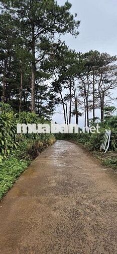 KHÁCH NÀO SẴN TIỀN MUA NGAY LÔ NÀY