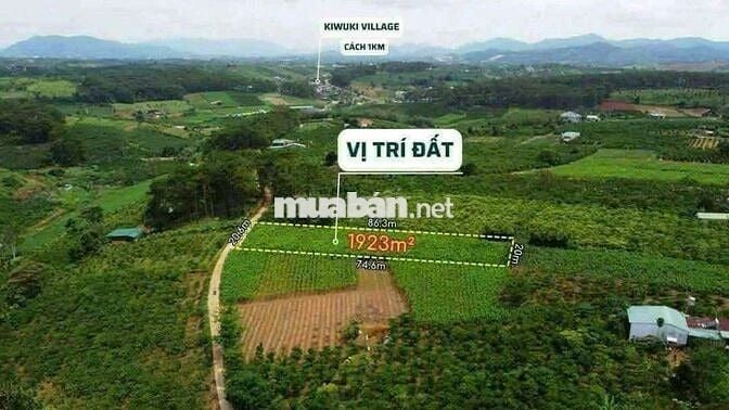 KHÁCH NÀO SẴN TIỀN MUA NGAY LÔ NÀY
