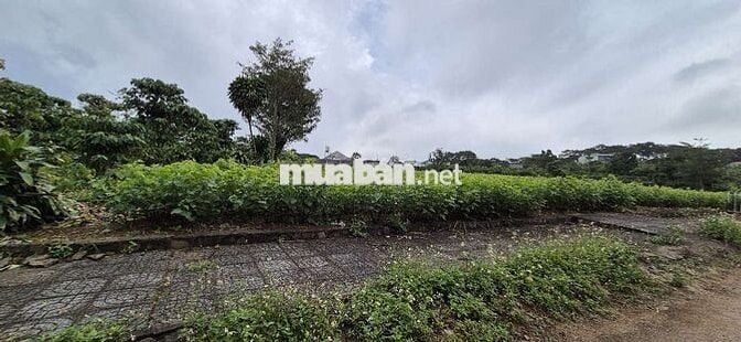 KHÁCH NÀO SẴN TIỀN MUA NGAY LÔ NÀY