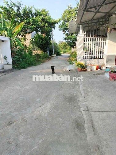 CẦN BÁN GẤP CĂN NHÀ CẤP 4 TẠI VĨNH LONG
