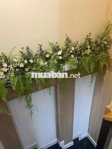 Bán nhà hẻm xe hơi Quận 1 dưới 6tỷ