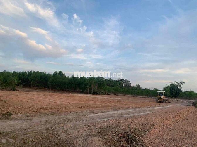 Cần bán lô đất đẹp 753m² – xã Vĩnh Thanh, Nhơn Trạch – đường ô tô, gần