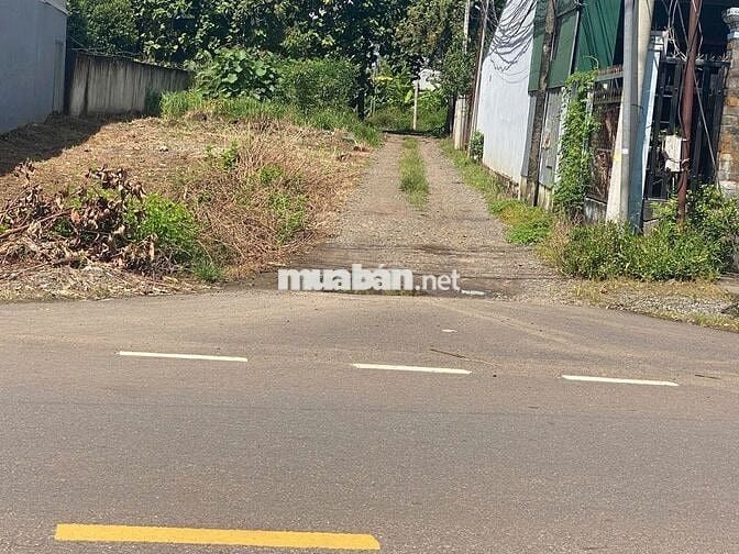 BÁN ĐẤT CÓ SẴN NHÀ CẤP 4,CÓ SĂN 100M2 THỔ CƯ VƠI 1113M2 CHỈ VỚI 1,3 TY