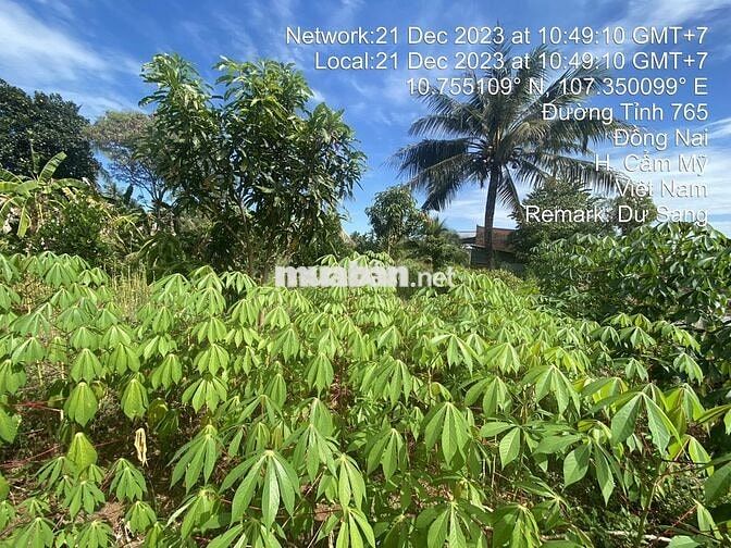 Bán lô đất lớn ngang 41,38m (672m2) hẻm otô DT765, Cẩm Mỹ, Đồng Nai