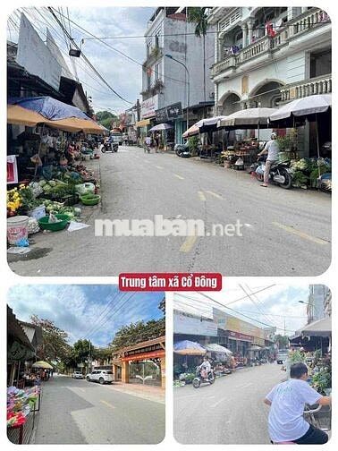 ĐẤT NỀN THỔ CƯ SẴN SỔ TẠI LỤC QUÂN SƠN TÂY HÀ NỘI