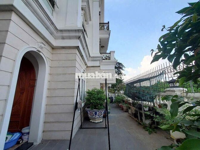 SIÊU PHẨM BIỆT THỰ - 22 Cityland, P10, Gò Vấp - mặt tiền 12m cực rộng