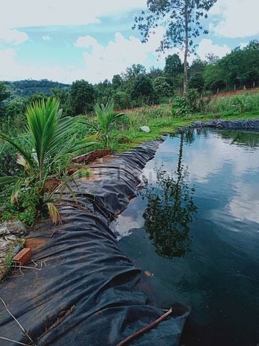 [CHỦ BÁN] 11000m² đất mặt tiền>>giá 2 TỶ khu vực Tuy Đức, Đắk Nông