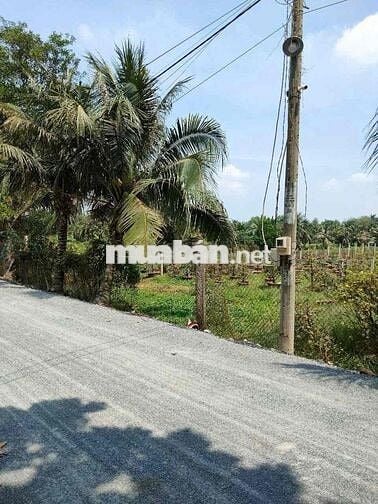 Bán đất 35x158M đường kênh 8, Bình Chánh, TPHCM
