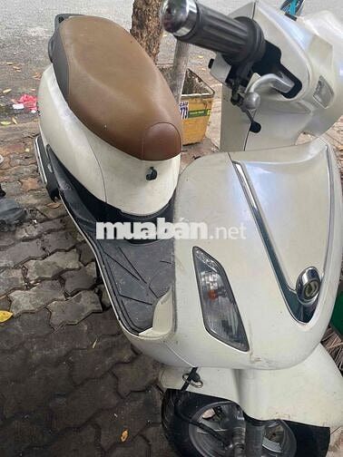 bãn xe như hình biển hcm máy êm