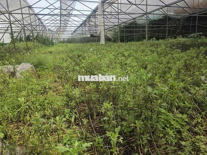 cần bán lô đất quy hoạch full đất ở, giá cực tốt view đẹp đà lạt