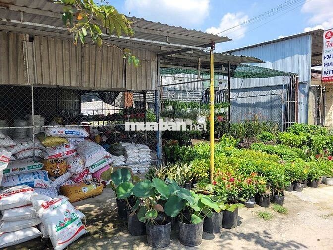 Sang lại cửa hàng kịn doanh cây cảnh hoạt mặt bẳng kinh doanh