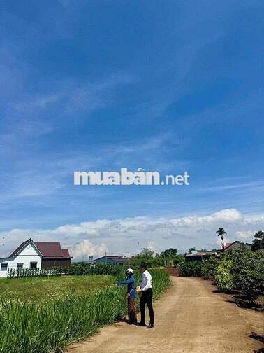 CHÍNH CHỦ CẦN BÁN LÔ ĐẤT CHỈ 590 TRIỆU