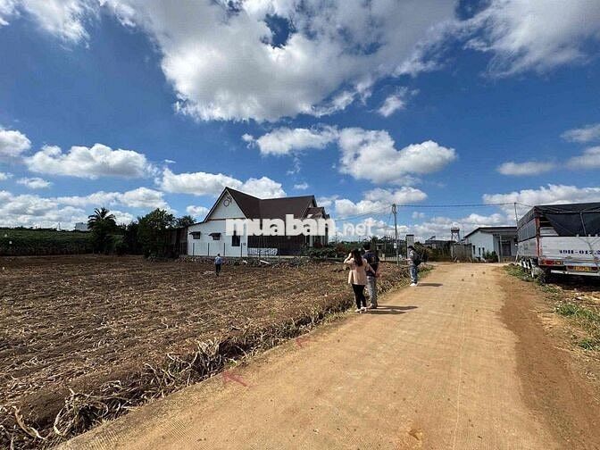 CHÍNH CHỦ CẦN BÁN LÔ ĐẤT CHỈ 590 TRIỆU