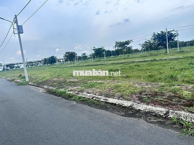 📢 BÁN ĐẤT TRUNG TÂM HÀNH CHÍNH BÀU BÀNG – GIÁ CHỈ 2 TỶ