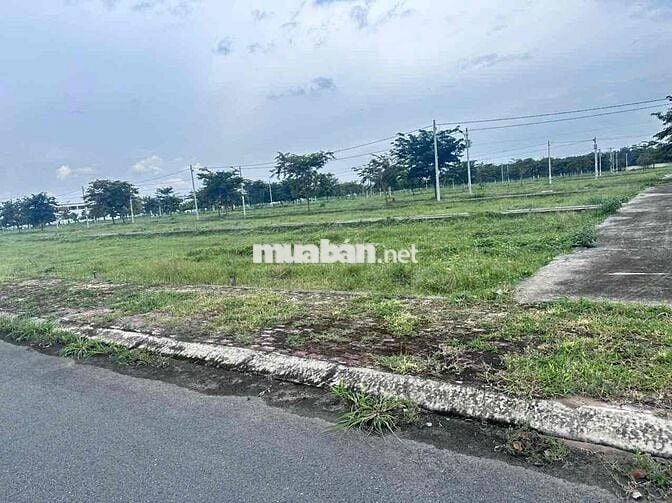 📢 SIÊU HOT: Đất Nền KINH DOANH SÁT TRUNG TÂM HÀNH CHÍNH BÀU BÀNG – GIÁ