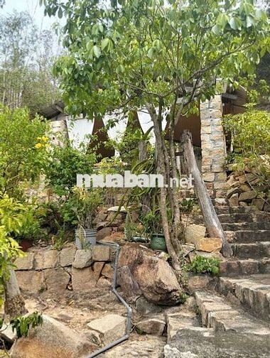 TM Cho thuê căn biệt thự vườn Phía Bắc Nha Trang