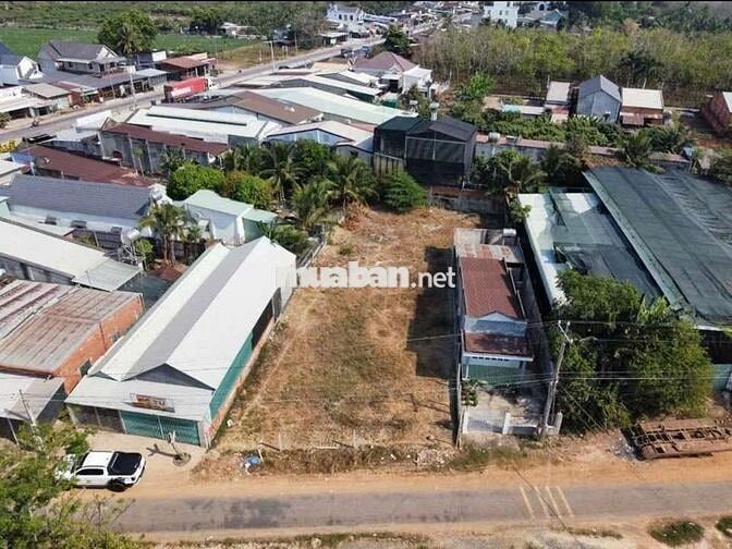 5x37 MT Giáp Hải - Vị trí đẹp kinh doanh ngay KCN Tây Bắc - SHR