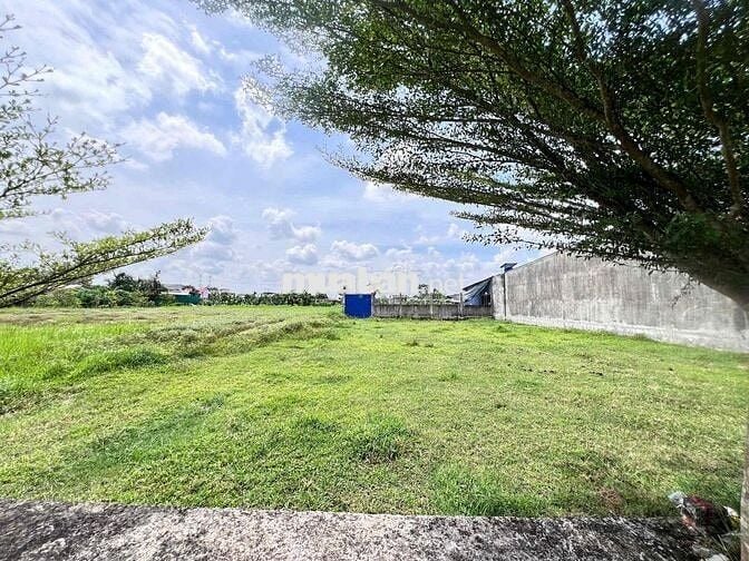 Đất Đức Hoà Thượng 5x30m giá 980tr