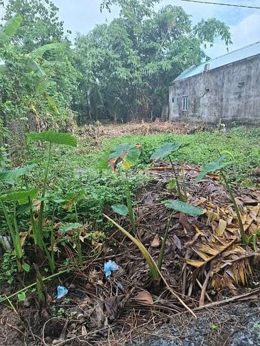 Cần bán lô đất mặt tiền đường xe hơi cách hương lộ 2 chỉ vài chục mét