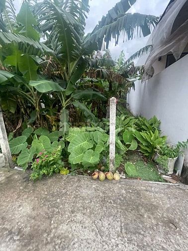 Cần bán lô đất mặt tiền đường xe hơi cách hương lộ 2 chỉ vài chục mét