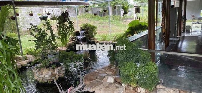 đất cần bán gần các dự án lớn như la tiên villa njaf hát đó